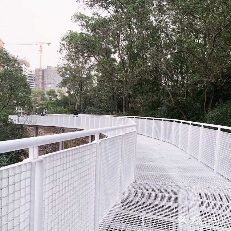 深圳网红桥～白桥