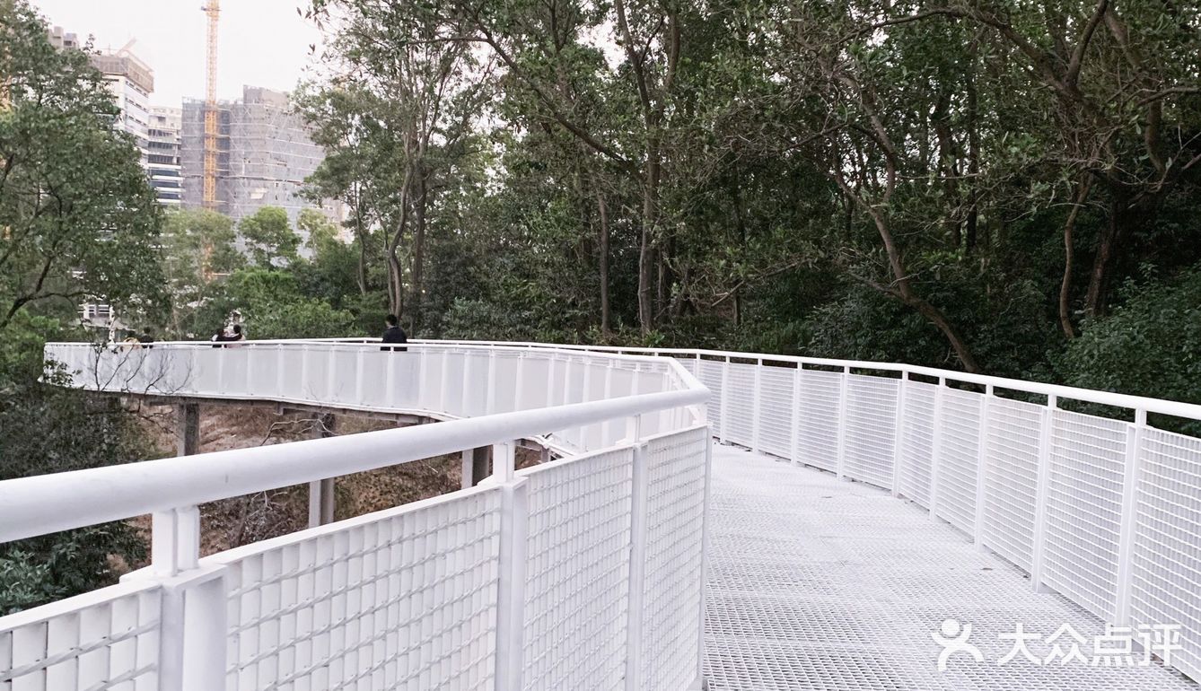 深圳网红桥～白桥