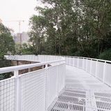 深圳网红桥～白桥