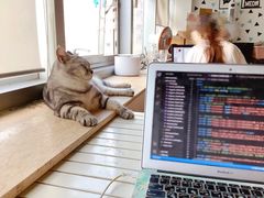 -Cappucimeow猫咪咖啡馆(韦伯时代店)