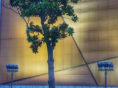 -苏州独墅湖体育馆