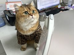 -贝康宠物医院·犬猫全科·小动物特色诊疗中心(东环路店)