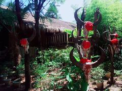 -云南民族村