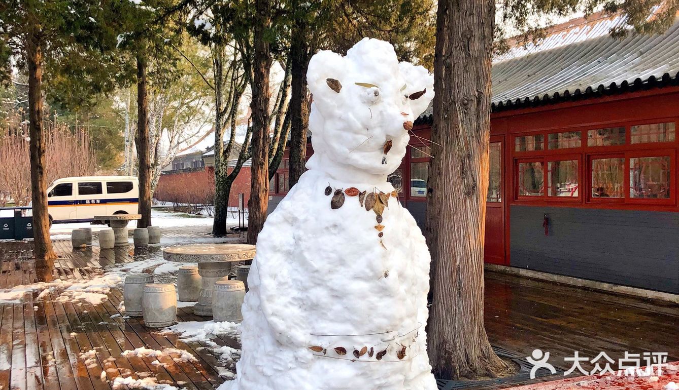 翻到了年前赶上下雪的时候去的旧宫，还是没忍住把照片发