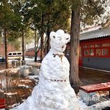 翻到了年前赶上下雪的时候去的旧宫，还是没忍住把照片发
