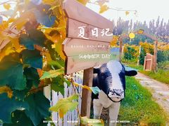 -安德鲁户外烧烤帐篷营地(马泉营店)