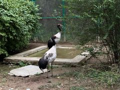 -青藏高原野生动物园