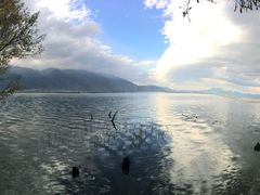 -洱海月湿地公园