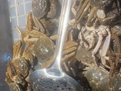 -甄品麦哲伦海鲜和牛自助(万达广场店)