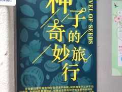 -正佳雨林生态植物园