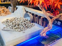 -圣罗巴海鲜烤肉自助(佳兆业店)