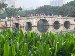 -荔湾湖公园