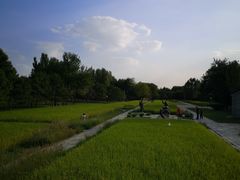 -北坞公园