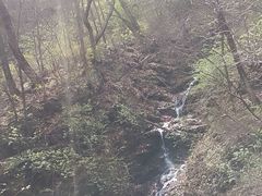 -香炉山国家森林公园
