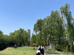 -溱湖国家湿地公园