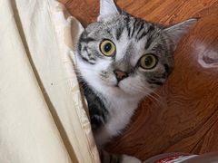 -7年8班朝鲜族非遗美食(三钢里店)