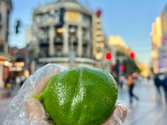 -沈大成(南京东路店)