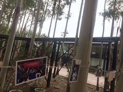 -桉树林A coffee 森林餐厅(三圣乡店)