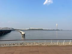 -吴淞炮台湾湿地森林公园烧烤区