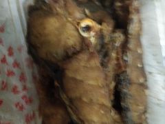 -梅记大块头爆鱼店(乍浦路店)
