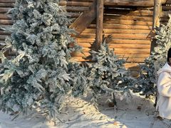 -HERRE·FARM 赫尔露营农场·团建聚会包场