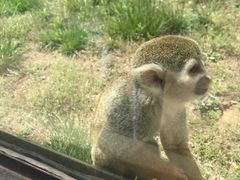 -石家庄市动物园