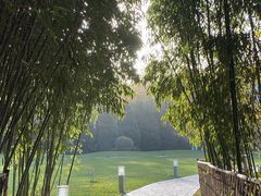 -春晖园度假酒店温泉