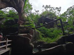 -蛇蟠岛