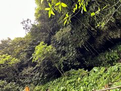 -海口火山口国家地质公园