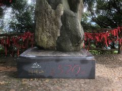 -广州市帽峰山景区
