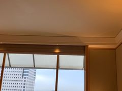 -新加坡丽思卡尔顿美年酒店