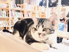 -小时光咖啡馆(开森度假森林店)