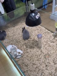 -小象动悟公园(龙湖亦庄天街店)