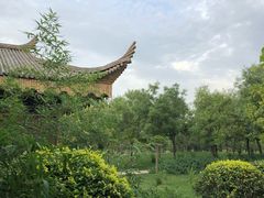 -武清南湖绿博园