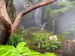 -Chom Cafe and Restaurant