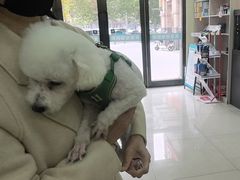 -天宠宠物医院24小时·急重症诊疗中心·全科·腔镜特色(和平分院)