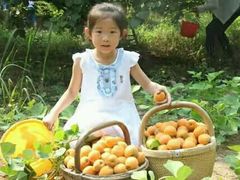 -大自然农场蔬菜草莓采摘园