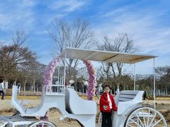 -武汉紫薇都市田园