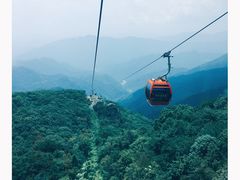 -牛背梁国家森林公园