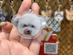 -和它·交个朋友·狗咖猫咖(爱琴海店)