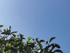 -前小桔亲子创意农场·草莓采摘·露营烧烤