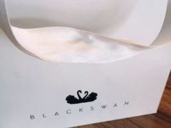 -BLACKSWAN黑天鹅(环球店)