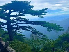 -黄山风景区