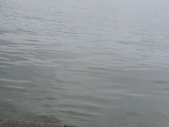 -西湖外事游船(湖滨二公园外事游船码头)