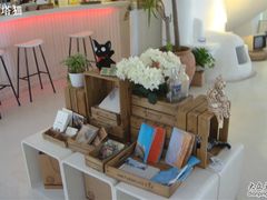 -Babycat私家御饼屋(龙头路一店)