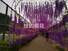 -观澜湖生态运动公社
