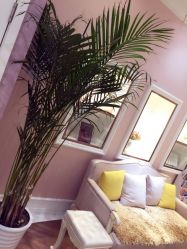 -UP&UP·半永久眉毛眼线机器野生眉