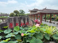 -广州莲花山旅游区