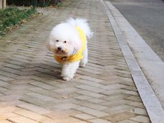 -佳雯宠物医院(四明中路分院)