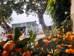 -安德鲁饼店(总店)